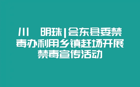 川滇明珠|会东县委禁毒办利用乡镇赶场开展禁毒宣传活动插图 川滇明珠|会东县委禁毒办利用乡镇赶场开展禁毒宣传活动插图