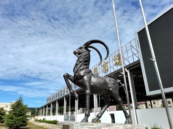 川滇明珠|会东黑山羊2021获得国家地理标志产品称号-会东网