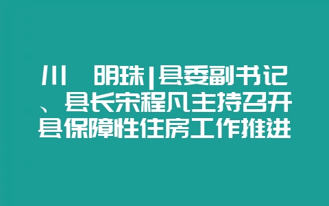 川滇明珠|县委副书记、县长宋程凡主持召开县保障性住房工作推进会插图 川滇明珠|县委副书记、县长宋程凡主持召开县保障性住房工作推进会插图