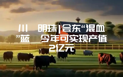 川滇明珠|会东“混血”蓝莓今年可实现产值2亿元-会东网