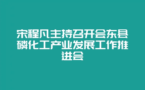 宋程凡主持召开会东县磷化工产业发展工作推进会-会东网