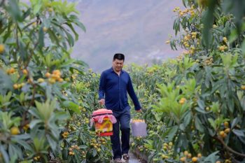 川滇明珠|会东建县70周年插图89 川滇明珠|会东建县70周年插图89