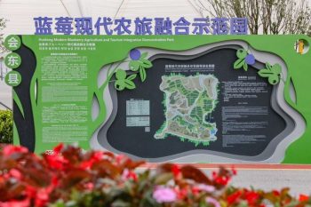 川滇明珠|会东探索农业发展新路径，找到乡村振兴的“财富密码插图4