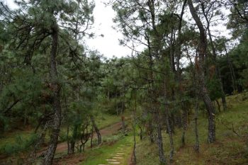 川滇明珠旅游|会东夏天避暑最佳去处——会东马头山插图2 川滇明珠旅游|会东夏天避暑最佳去处——会东马头山插图2