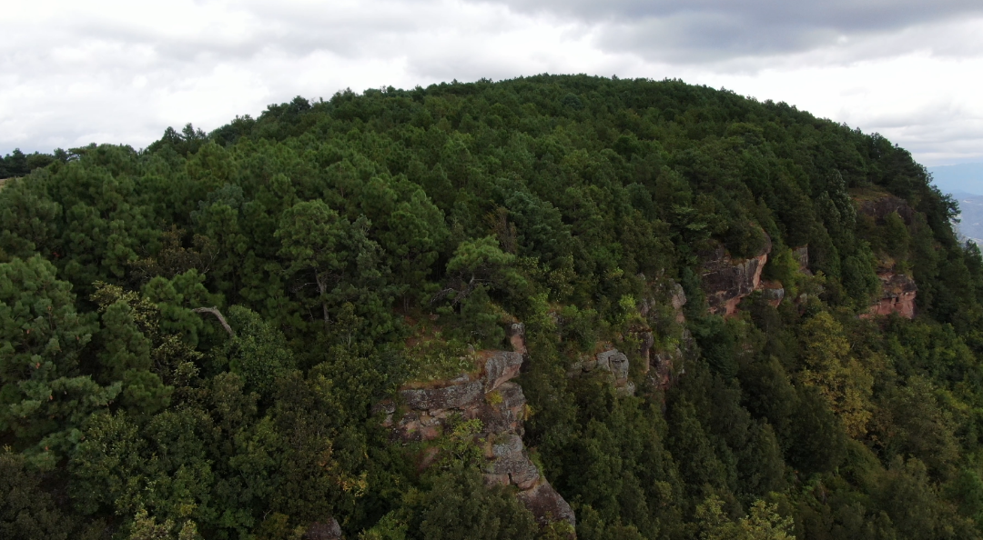 川滇明珠旅游|会东夏天避暑最佳去处——会东马头山插图3 川滇明珠旅游|会东夏天避暑最佳去处——会东马头山插图3