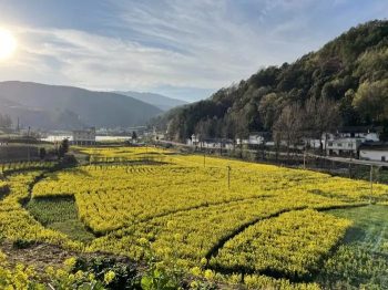 会东三农:新街镇河边村畅享着景美、业兴、民富的美丽乡村画卷插图 会东三农:新街镇河边村畅享着景美、业兴、民富的美丽乡村画卷插图