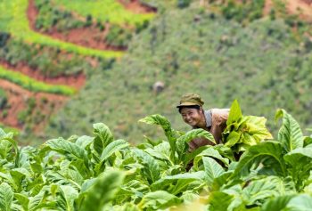川滇明珠|会东建县70周年插图87 川滇明珠|会东建县70周年插图87
