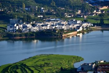 川滇明珠|会东探索农业发展新路径,找到乡村振兴的“财富密码-会东网