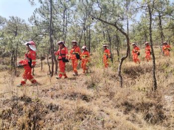川滇明珠|会东建县70周年插图55 川滇明珠|会东建县70周年插图55