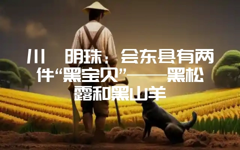 川滇明珠:会东县有两件“黑宝贝”——黑松露和黑山羊-会东网