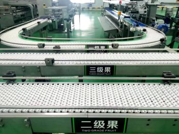 川滇明珠|会东县姜州镇建设村蓝莓产业示范园插图2 川滇明珠|会东县姜州镇建设村蓝莓产业示范园插图2