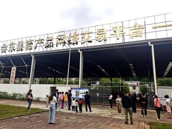 川滇明珠：会东县有两件“黑宝贝”——黑松露和黑山羊插图2