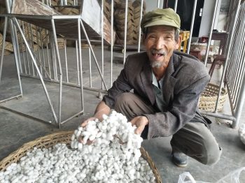 川滇明珠|会东建县70周年插图88 川滇明珠|会东建县70周年插图88