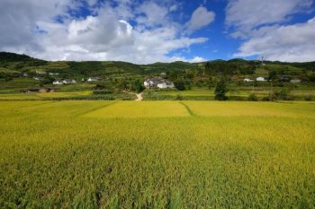 川滇明珠|会东建县70周年插图63 川滇明珠|会东建县70周年插图63