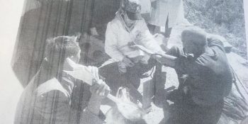 川滇明珠|会东建县70周年插图68 川滇明珠|会东建县70周年插图68