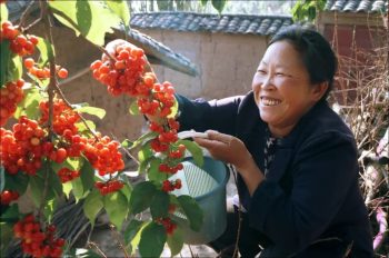 川滇明珠|会东建县70周年插图90 川滇明珠|会东建县70周年插图90