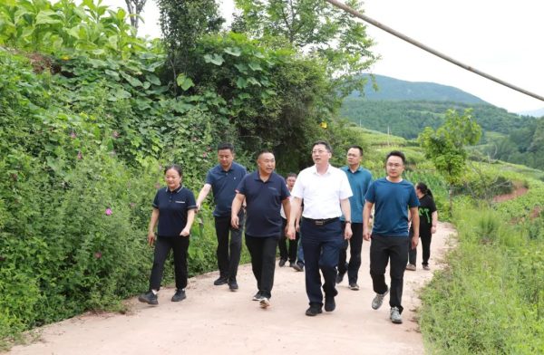 环江红到堵格镇、新街镇、江西街乡调研督导防汛减灾-会东网