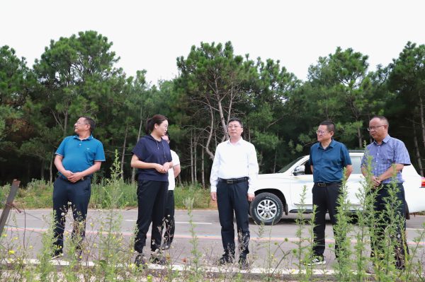 会东资讯:环江红到姜州镇调研景区建设插图 会东资讯:环江红到姜州镇调研景区建设插图