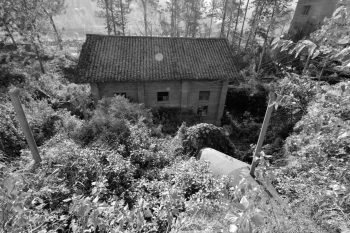 川滇明珠|会东建县70周年插图27 川滇明珠|会东建县70周年插图27