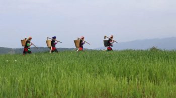 川滇明珠|会东建县70周年插图84 川滇明珠|会东建县70周年插图84