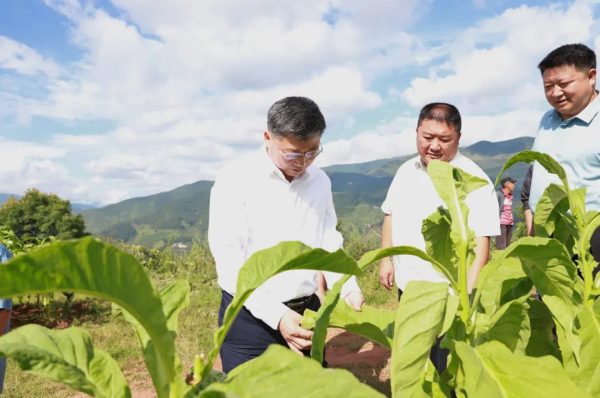 会东新闻|环江红到铅锌镇调研督导防汛防地灾调研插图2 会东新闻|环江红到铅锌镇调研督导防汛防地灾调研插图2