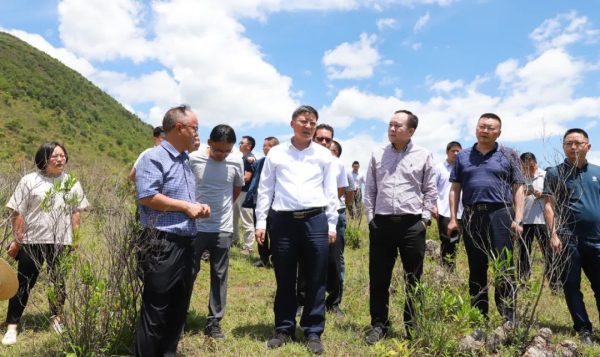 环江红到鲁吉镇调研向家坪磷化工循环产业园区视察插图1