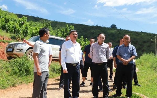 环江红到鲁吉镇调研向家坪磷化工循环产业园区视察插图2