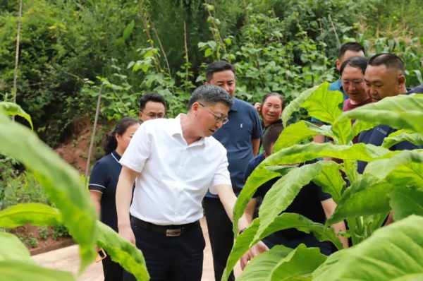 环江红到堵格镇、新街镇、江西街乡调研督导防汛减灾插图1 环江红到堵格镇、新街镇、江西街乡调研督导防汛减灾插图1