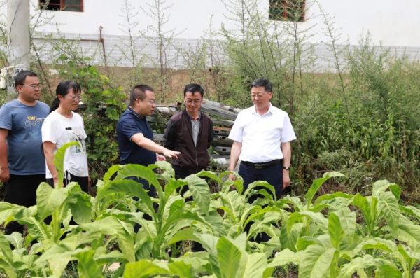 环江红到堵格镇、新街镇、江西街乡调研督导防汛减灾插图3 环江红到堵格镇、新街镇、江西街乡调研督导防汛减灾插图3