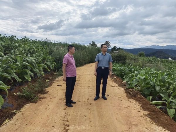 7月27日|会东新闻快讯插图2 7月27日|会东新闻快讯插图2