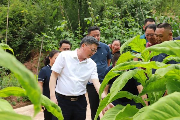 7月27日|会东新闻快讯插图1 7月27日|会东新闻快讯插图1