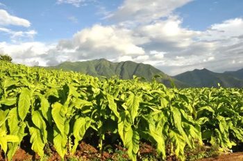 会东发展70年岁月弹指一挥间,70年会东沧桑巨变!插图4 会东发展70年岁月弹指一挥间,70年会东沧桑巨变!插图4