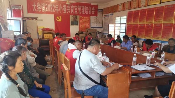 会东县大崇镇圆满完成春茧收购,产茧46862.2公斤!插图2 会东县大崇镇圆满完成春茧收购,产茧46862.2公斤!插图2