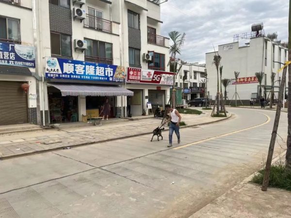 会东大崇加强迁建集镇镇容镇貌秩序管理插图1