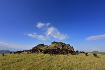 会东发展70年岁月弹指一挥间,70年会东沧桑巨变!插图8 会东发展70年岁月弹指一挥间,70年会东沧桑巨变!插图8