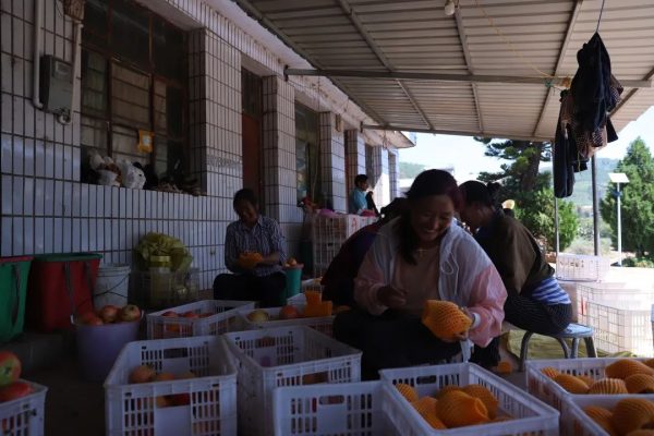 会东县姜州镇民权村：住上了好房子过上好日子插图