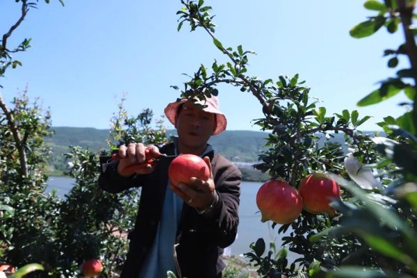 会东县姜州镇民权村：住上了好房子过上好日子插图3