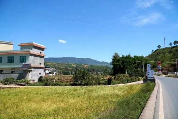 会东县姜州镇山北村：万亩软籽石榴换“新颜”插图2