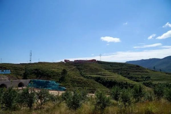 会东县姜州镇山北村：万亩软籽石榴换“新颜”插图6