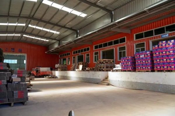 会东县姜州镇山北村：万亩软籽石榴换“新颜”插图8