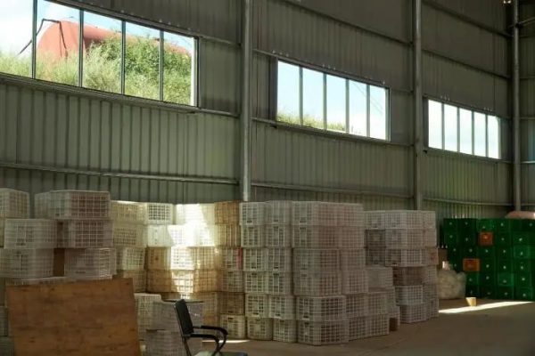 会东县姜州镇山北村：万亩软籽石榴换“新颜”插图10