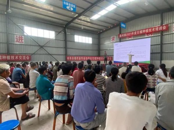 会东县姜州镇山北村：万亩软籽石榴换“新颜”插图11