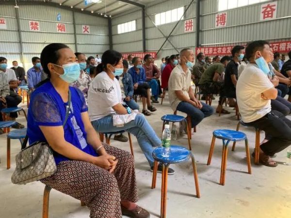 会东县姜州镇山北村：万亩软籽石榴换“新颜”插图12