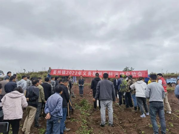 姜州镇开展整治毁林开荒义务造林活动插图