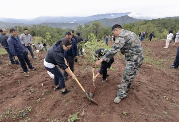 姜州镇开展整治毁林开荒义务造林活动插图1