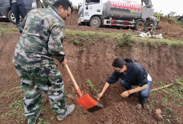 姜州镇开展整治毁林开荒义务造林活动插图2