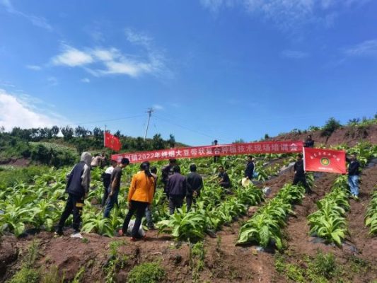 会东县平均工资标准（会东县工资怎么样）？插图1