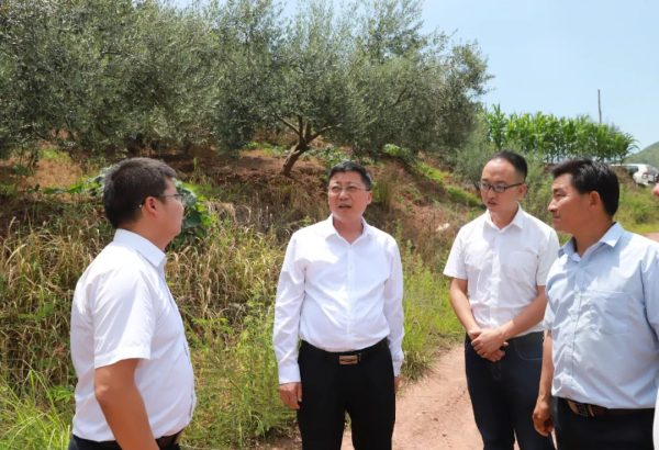 会东资讯:环江红到野租乡、嘎吉镇、乌东德镇田间地头调研插图2 会东资讯:环江红到野租乡、嘎吉镇、乌东德镇田间地头调研插图2