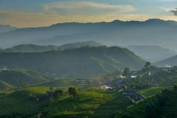 会东资讯|燕麦酒是会东地区数百年来的酿造习俗与传-会东网