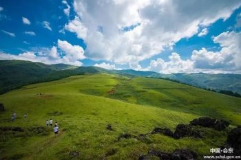 会东资讯|燕麦酒是会东地区数百年来的酿造习俗与传插图3 会东资讯|燕麦酒是会东地区数百年来的酿造习俗与传插图3